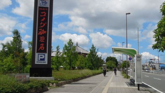 大阪・花博記念公園　鶴見緑地を歩こう！「子どもの森からスタート」