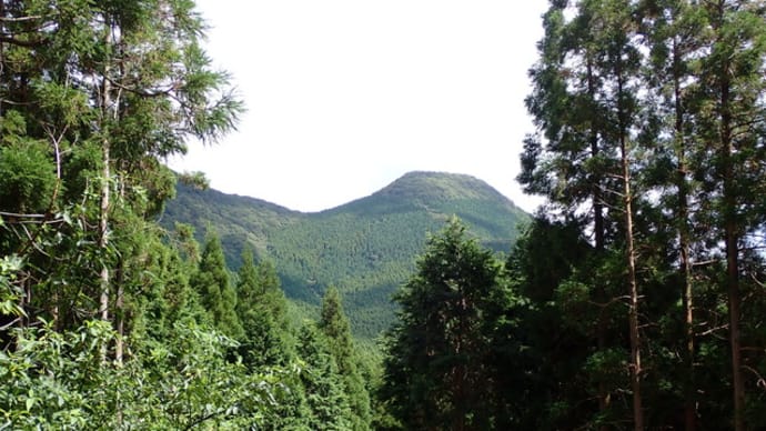 多良山系 2021.09.09 片木岳から標高点691