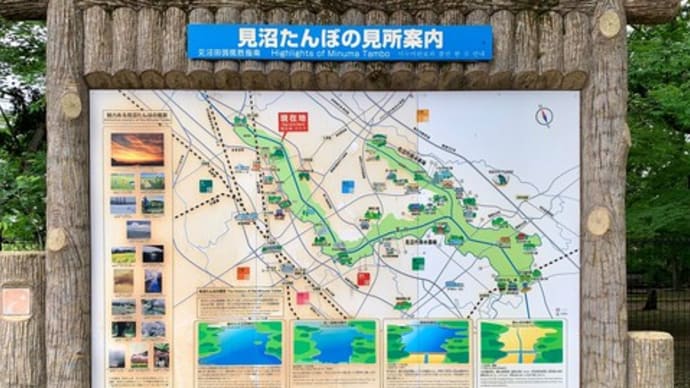 大宮第二公園~見沼グリーンセンター