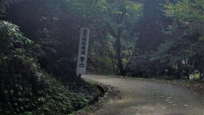 吉野ヶ岳から白山を望む