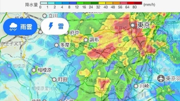 雨足が強くなってきました！