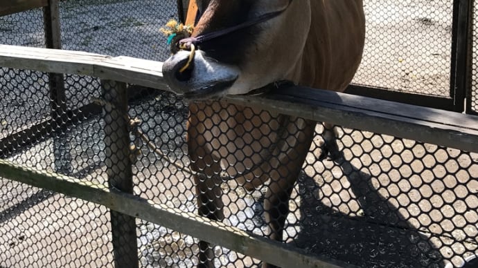 最初の一歩