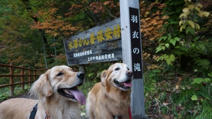 Go to 天人峡( part2)