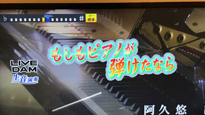 ヒトカラしてきました♪