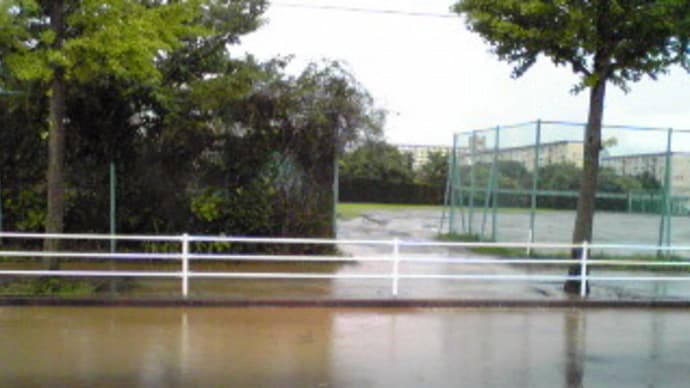 豪雨の後に