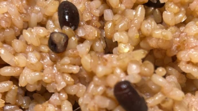 発芽酵素玄米（その後）
