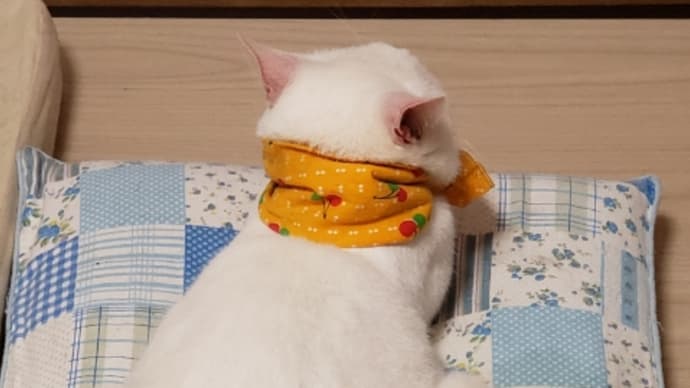 見返り美人