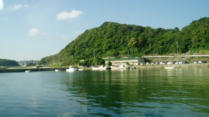 嵐松潤,性加害コメント,櫻井翔もJ卒業!?(大野君は?&イジメ自殺の遺族弁護士が宝塚の実態一部明らかに&猫島(相島,福岡へ・&元飼い猫の猫嫌いで人好きの野良猫が甘え上手な保護猫に・・