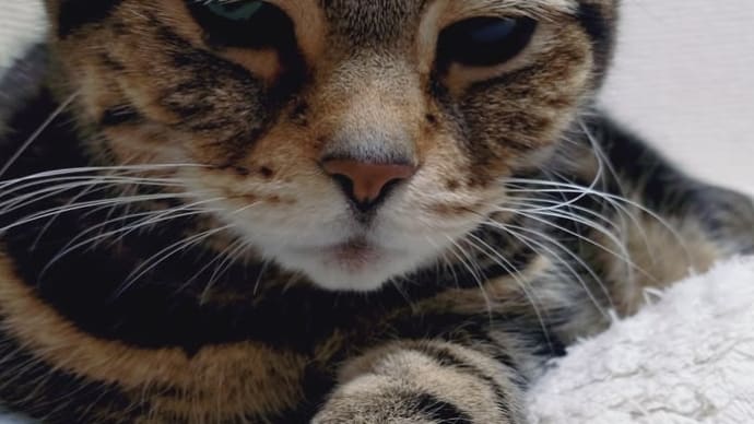 びょんいん