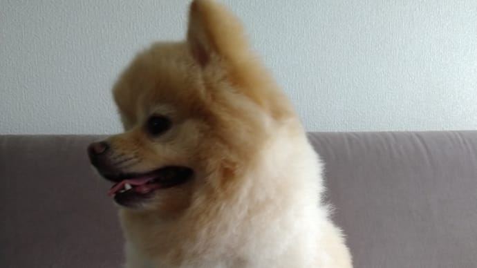 さっぱりしました