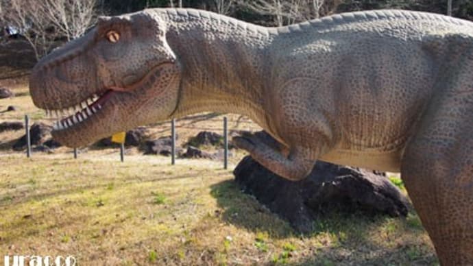 兵庫県立丹波並木道中央公園(2)