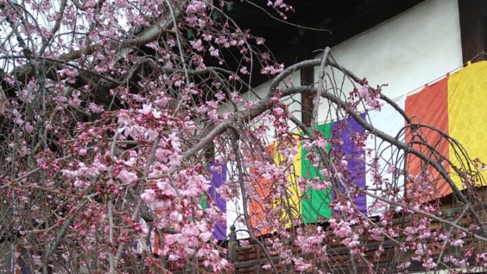 願正寺さま彼岸法要