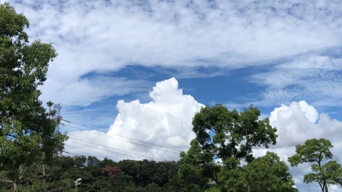 その後の治療、始まっています。