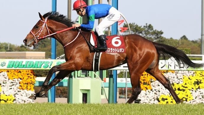 【バスラットレオン】マイルカップは藤岡佑騎手続投で!