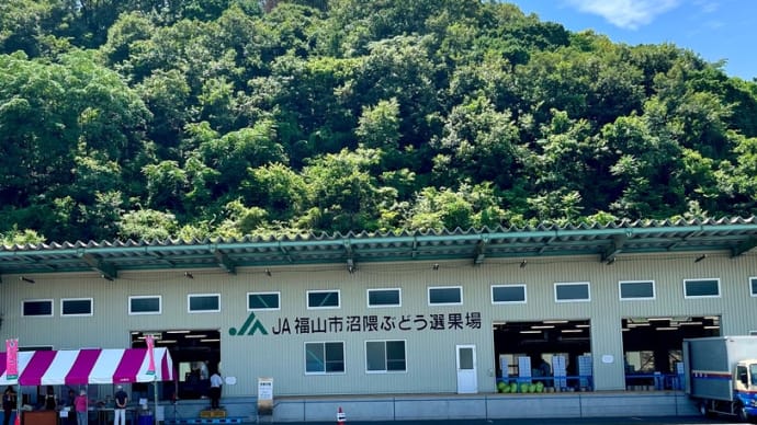 福山市農業協同組合 沼隈ぶどう選果場