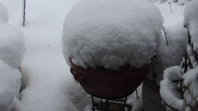 雪の日には想い出写真