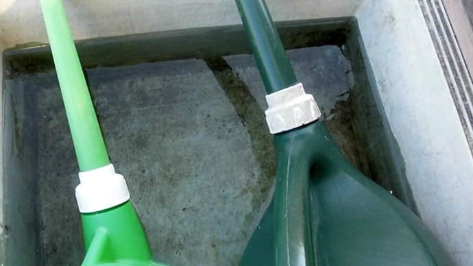４日連続の結氷