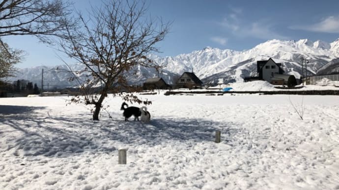 シーズン最後の雪遊び