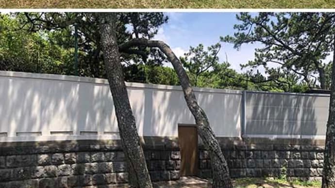 海開き前の葉山・小磯の鼻でゆったりとした時間を楽しむ。