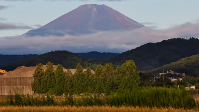 26/Sep 夜明けの富士山と彼岸花とカワセミ