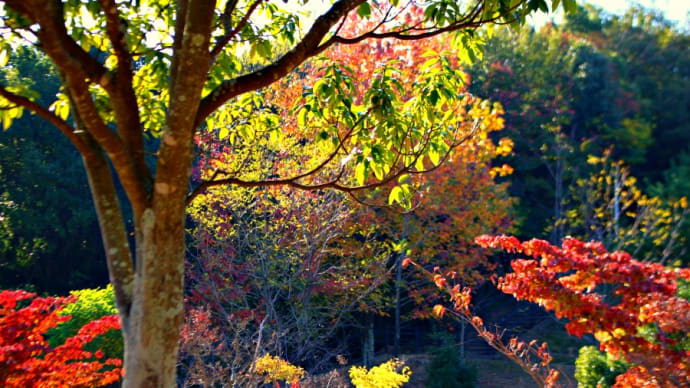南部丘陵公園