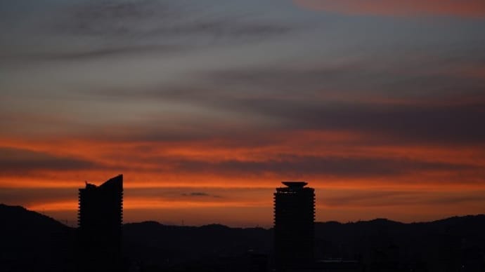 7月14日(水) 在宅勤務・カメラ