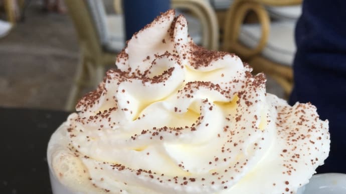 ウインナーコーヒーを楽しむ昼下がり|生クリーム作りの40分は無駄ではないと悟り、ビーフシチューの夢を見た