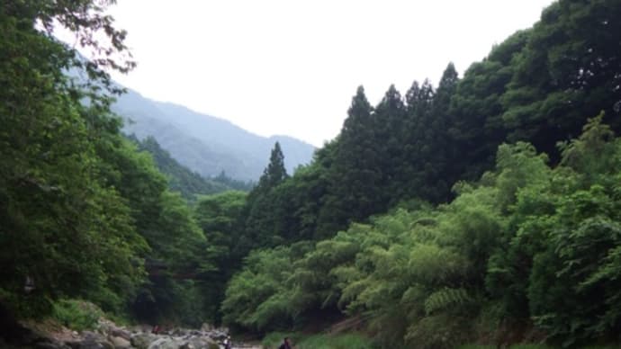 キャンプ場の鮎釣り大会に参加しました