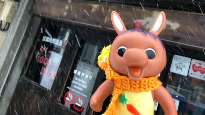 ロバくんと宮田屋珈琲に行ってきたよ