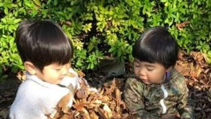 ちっちゃな王子様2人が応援に 秋の八幡児童公園は枯葉でいっぱい
