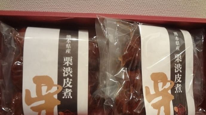 ふるさと納税で熊本県山江村から栗渋皮煮