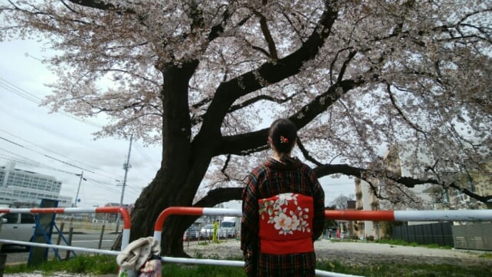 2021'コーデ20~23 桜の頃*