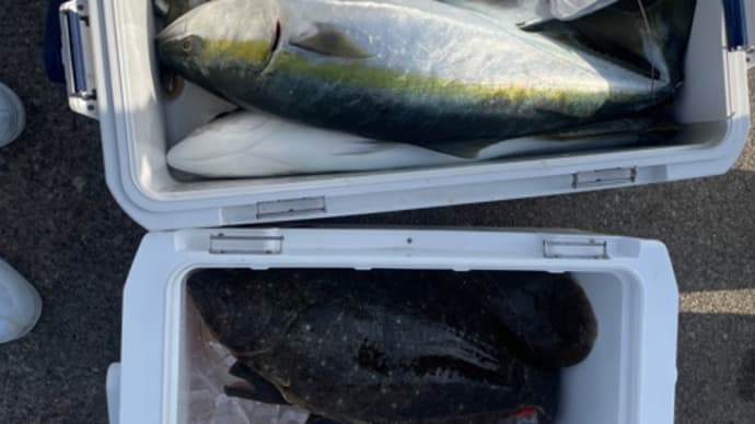 10日・釣果