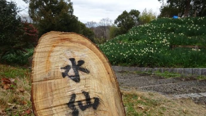 蜻蛉池公園・水仙郷