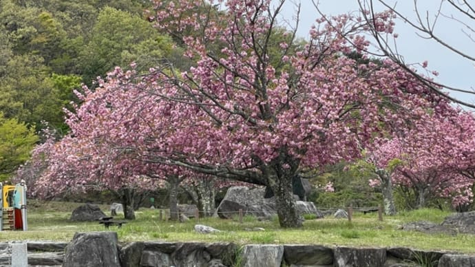 四国中央市の鋸山へ
