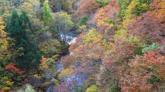 三途川渓谷の紅葉