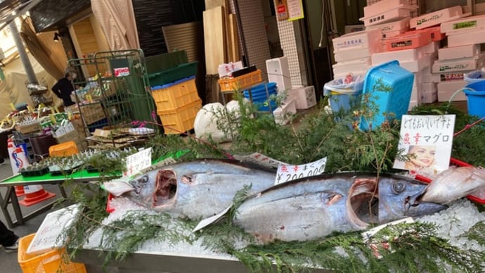 ハマのアメ横、松原商店街