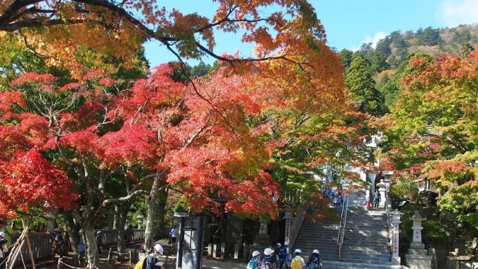 ☆丹沢・大山詣り * 山登り
