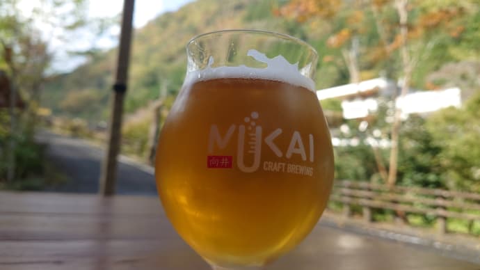 朝遅く起きた朝は、カルスト巡り。