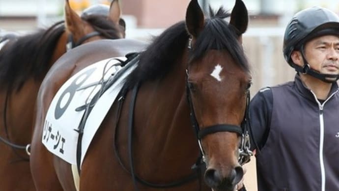 【リナーシェ】馬体が増えずスケジュールが立てにくい。。