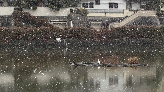 寒い一日
