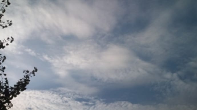 雨降り散歩