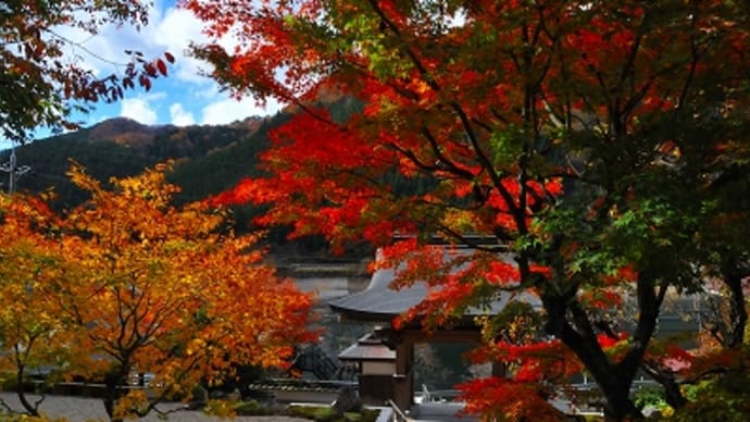 長源寺 紅葉2015