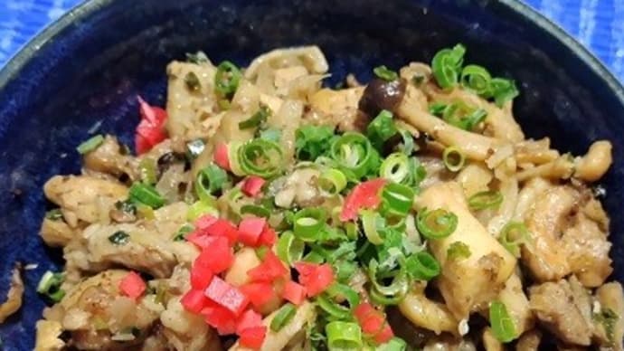 【06/27昼食】桜島鶏ゴボウ甘辛煮残りでささっと済ませたんだね:D
