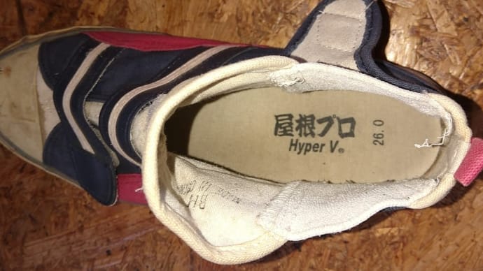 屋根に登る