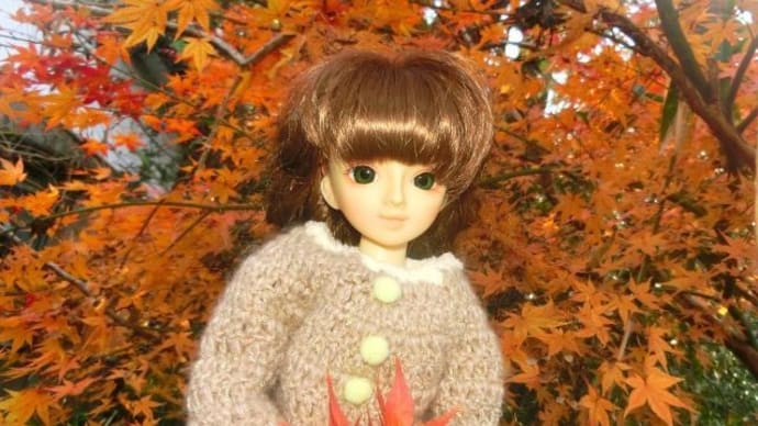 お庭で紅葉狩り撮影