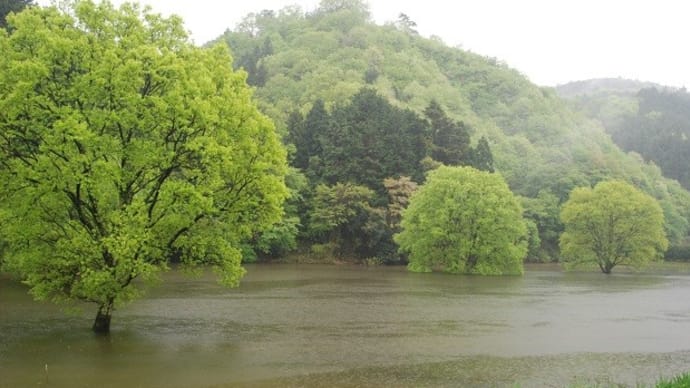 雨のダム湖
