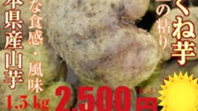 山かけ月見ソバ