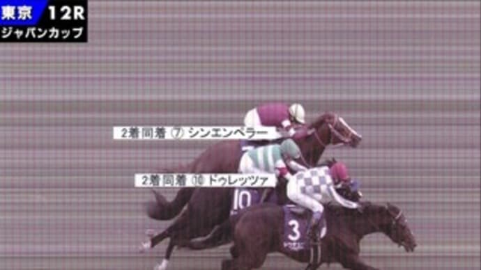 ジャパンCで万馬券的中!