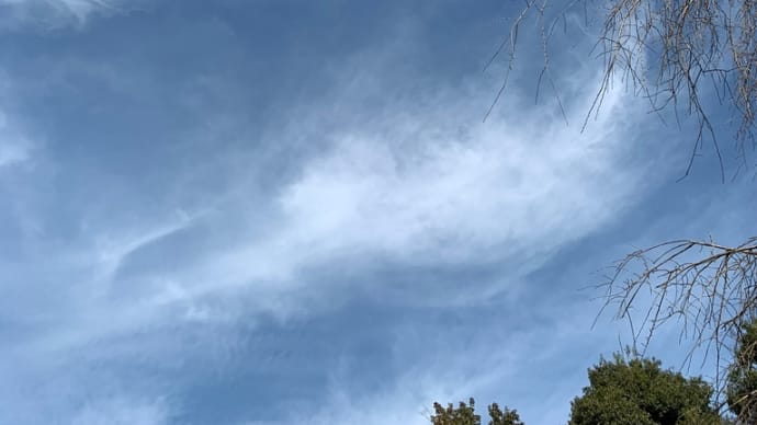 これも幸せ